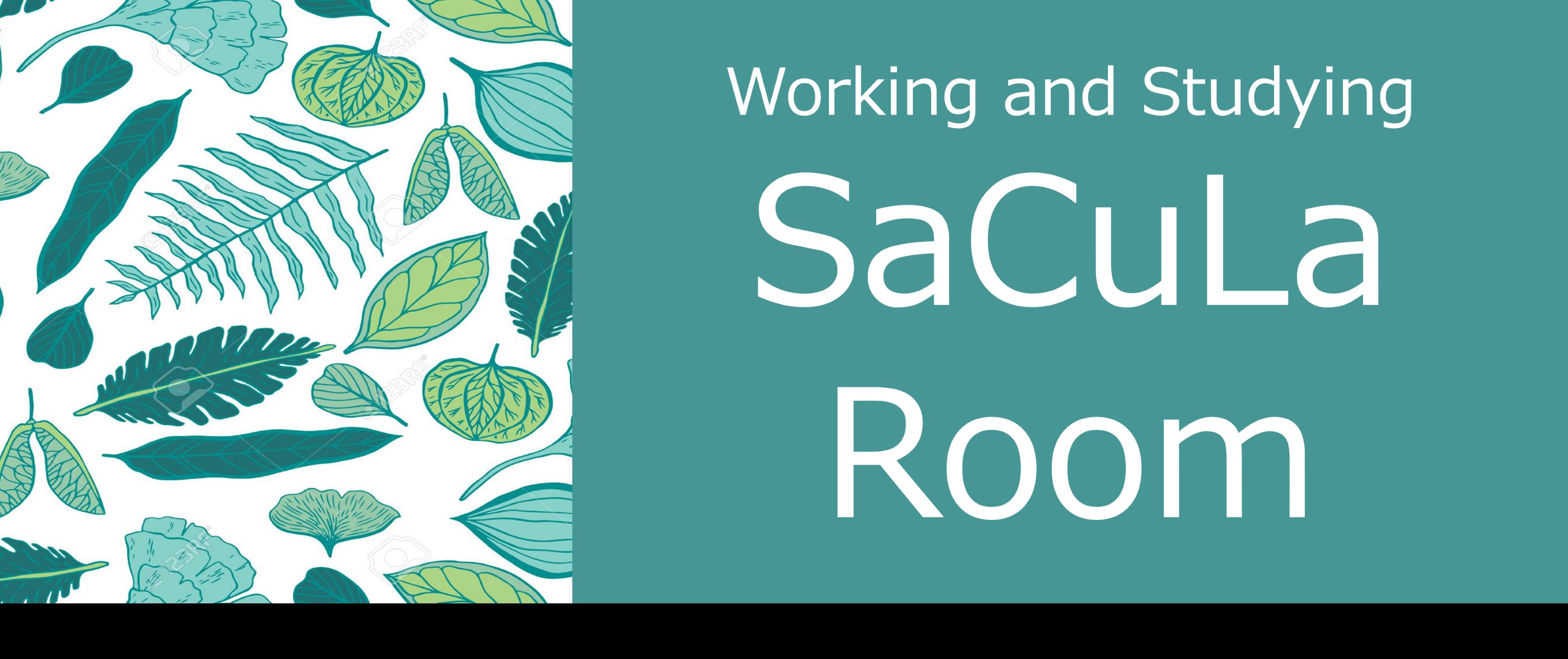 SaCuLa Room 芦花公園