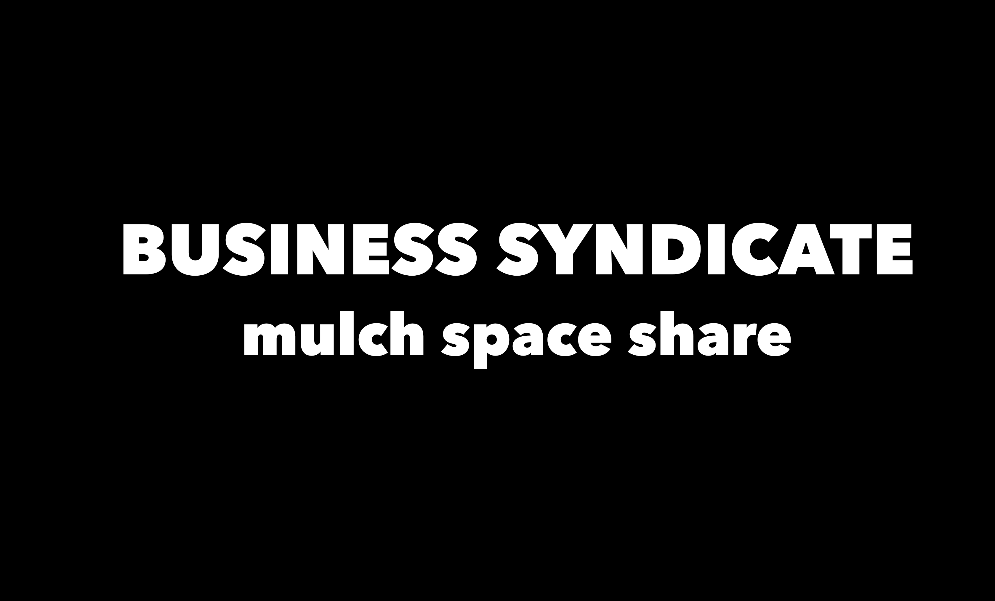 BUSINESS SYNDICATE